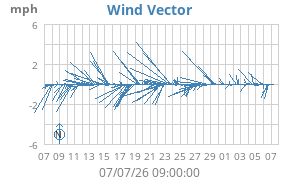 Wind Vector