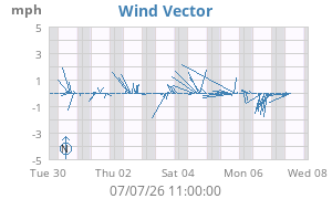 Wind Vector